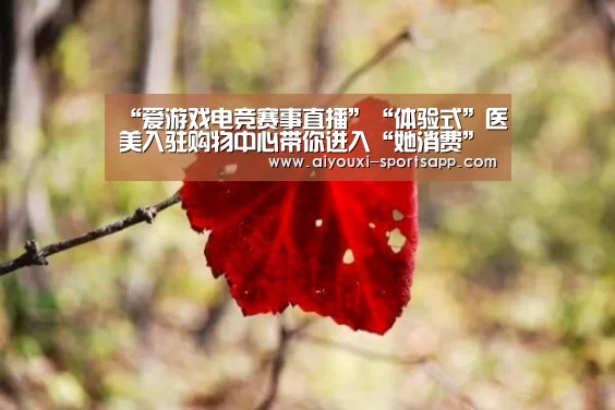 爱游戏娱乐APP