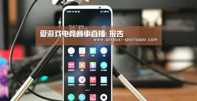 爱游戏电竞赛事直播_报告(图3) 爱游戏娱乐