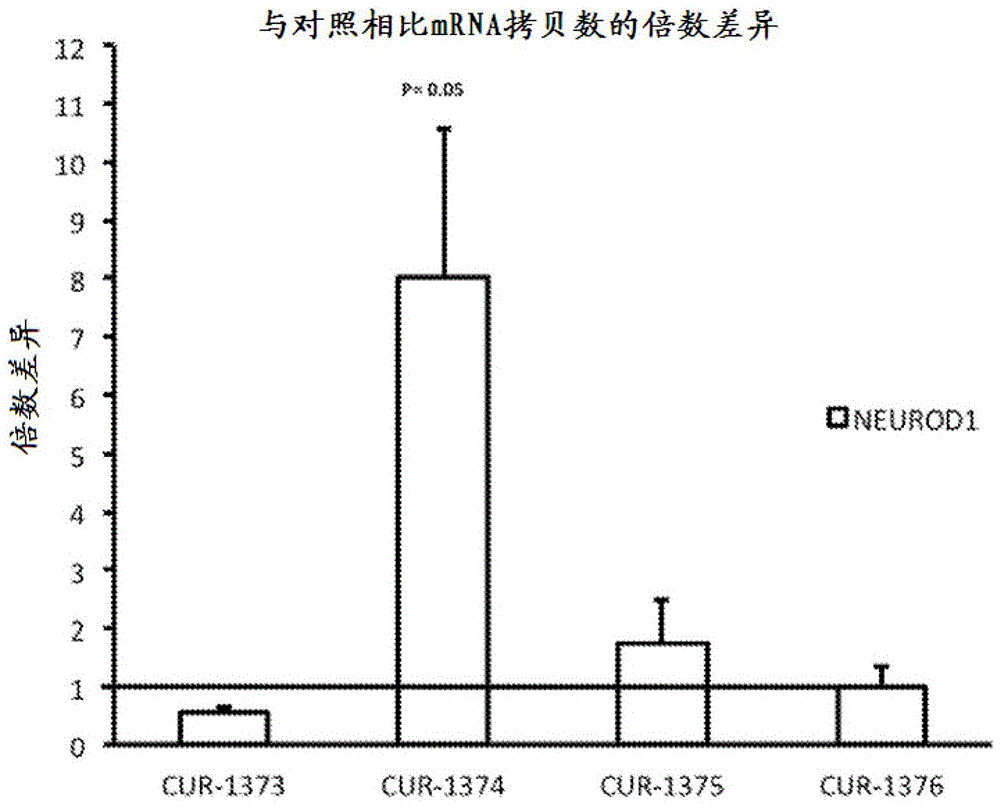 网站优化和服务器有什么关系“爱游戏娱乐”(图2) 爱游戏娱乐