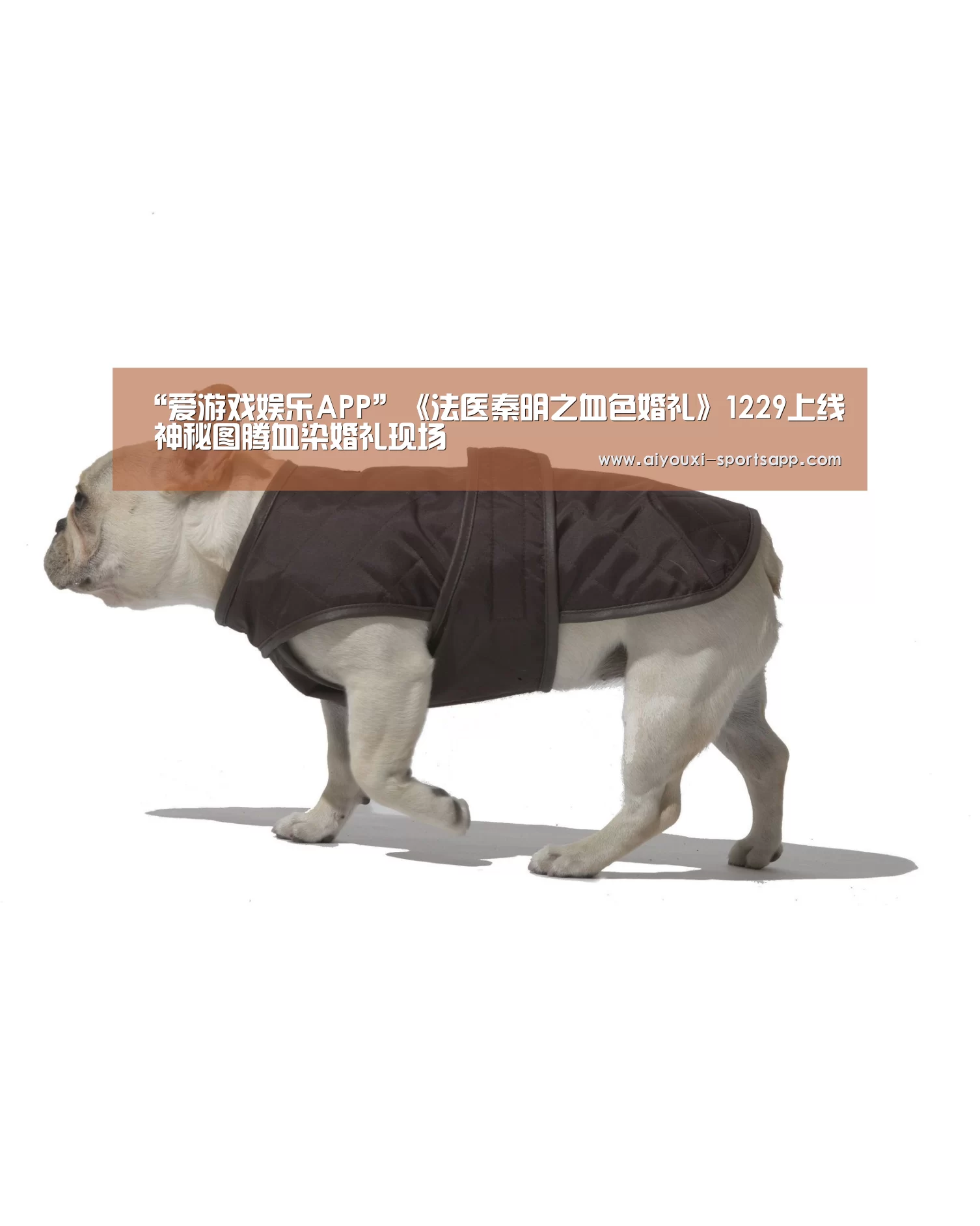 “爱游戏娱乐APP”《法医秦明之血色婚礼》1229上线 神秘图腾血染婚礼现场(图1) 爱游戏电竞赛事直播